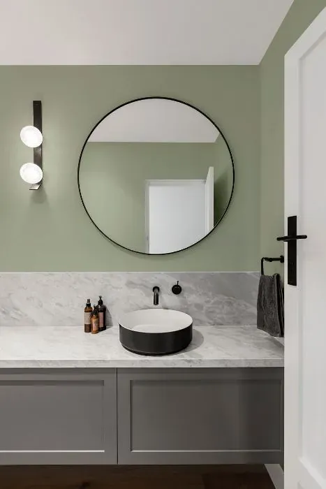 Benjamin Moore Aganthus Green minimalist bathroom