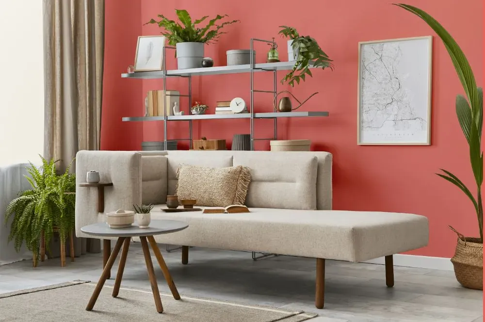 Benjamin Moore All-a-Blaze living room