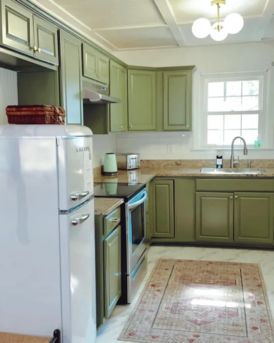Benjamin Moore Alligator Alley kitchen cabinets color review