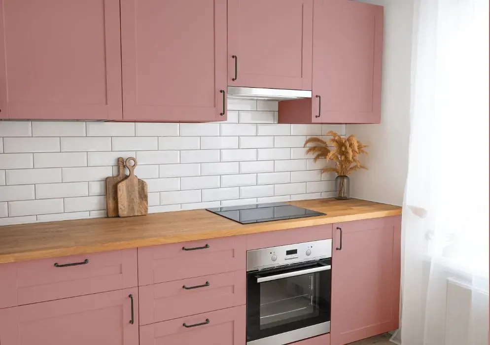 Benjamin Moore Amaryllis kitchen cabinets