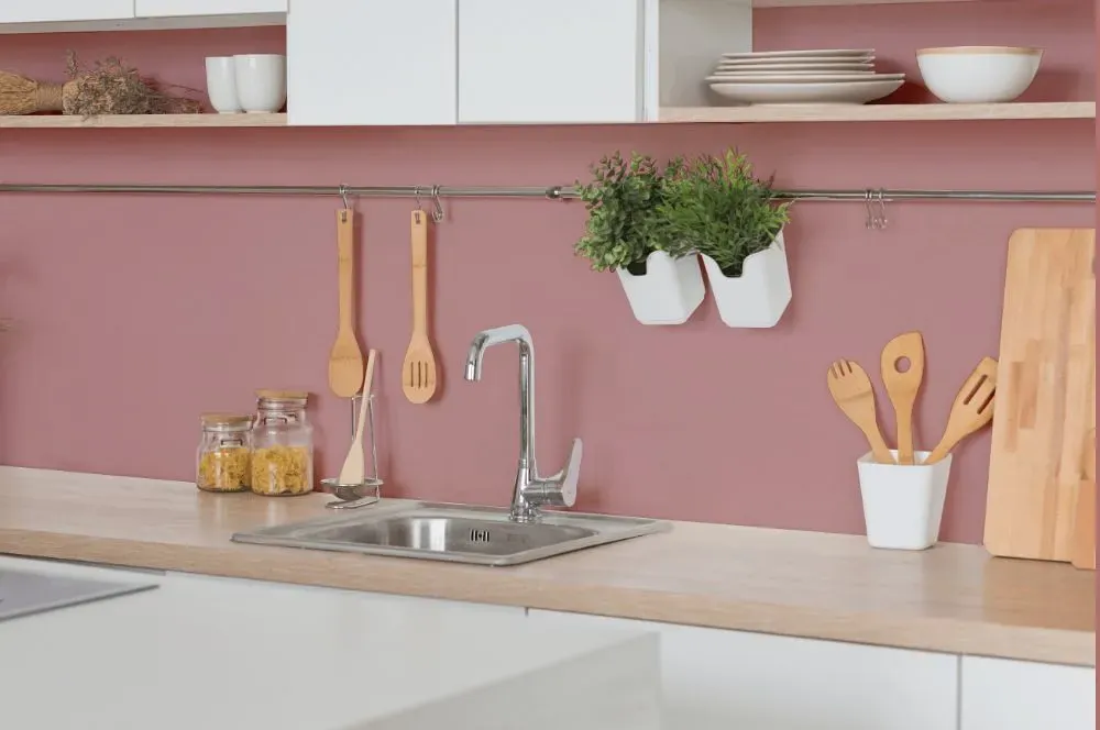 Benjamin Moore Amaryllis kitchen backsplash