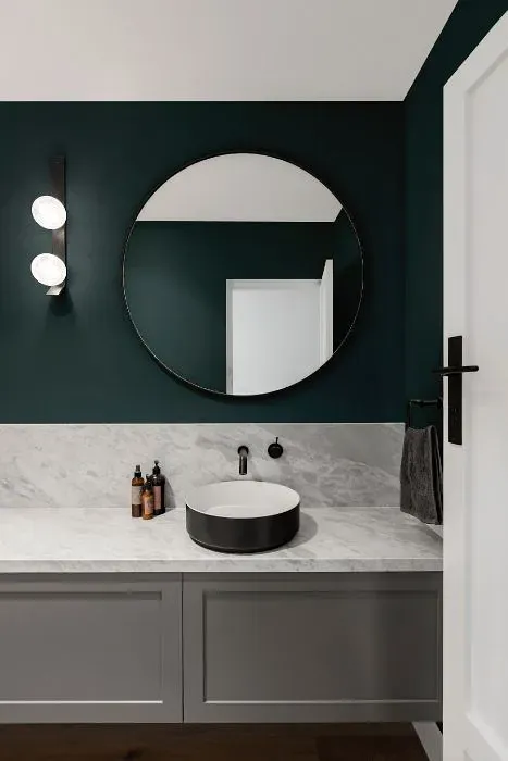 Benjamin Moore Amazon Green minimalist bathroom
