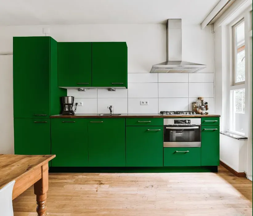 Benjamin Moore Amazon Moss kitchen cabinets
