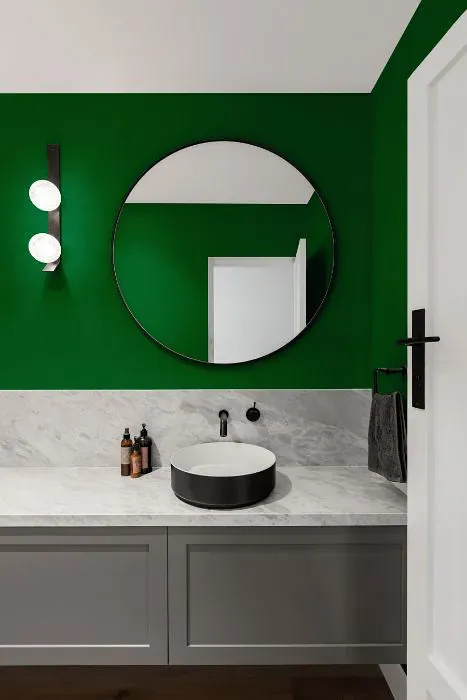 Benjamin Moore Amazon Moss minimalist bathroom