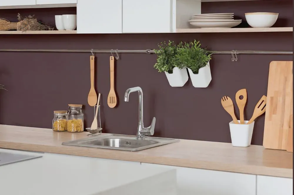 Benjamin Moore Amazon Soil kitchen backsplash