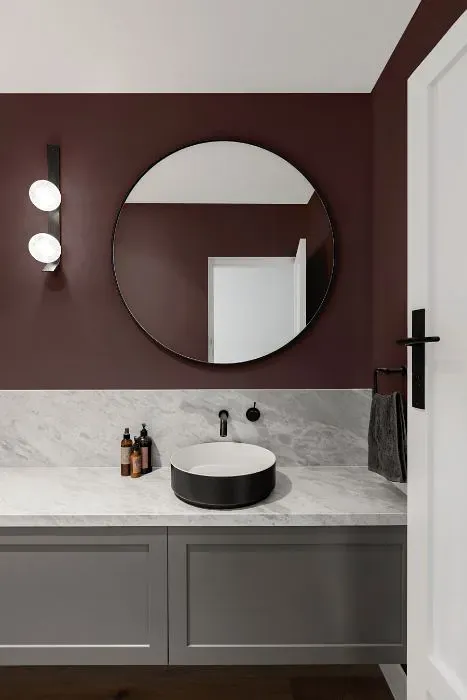 Benjamin Moore Amazon Soil minimalist bathroom