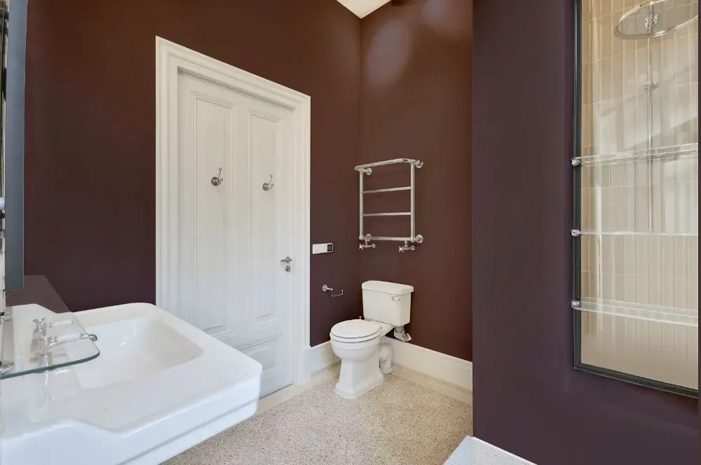 Benjamin Moore Amazon Soil bathroom