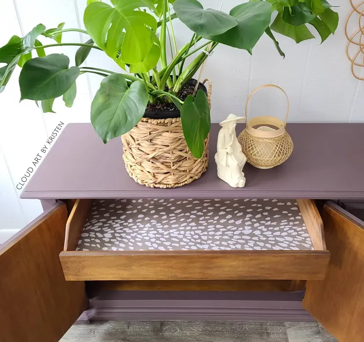 Benjamin Moore Amazon Soil painted furniture color