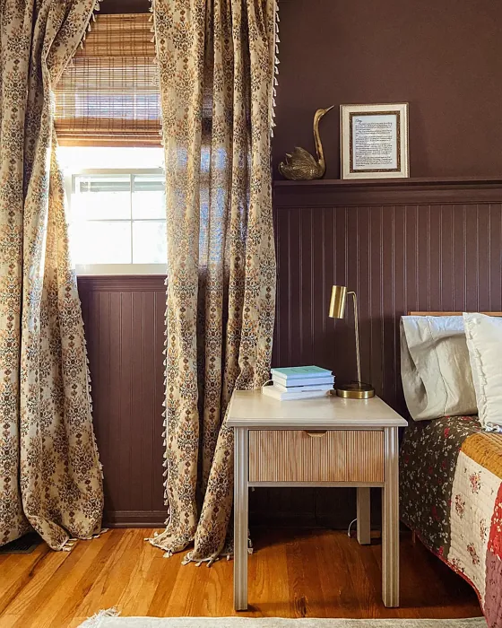 Benjamin Moore Amazon Soil bedroom paint