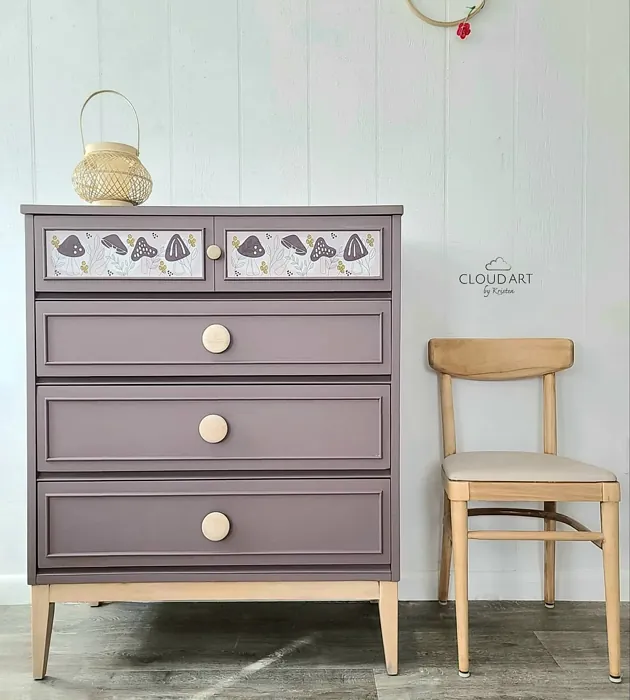 Benjamin Moore Amazon Soil painted storage paint review