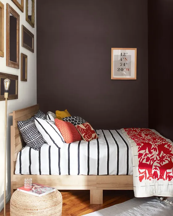 Benjamin Moore Amazon Soil bedroom interior