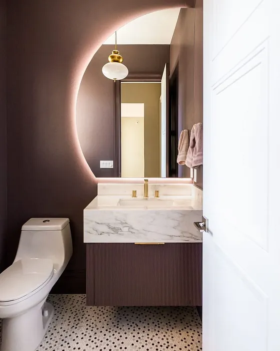 Benjamin Moore Amazon Soil bathroom interior