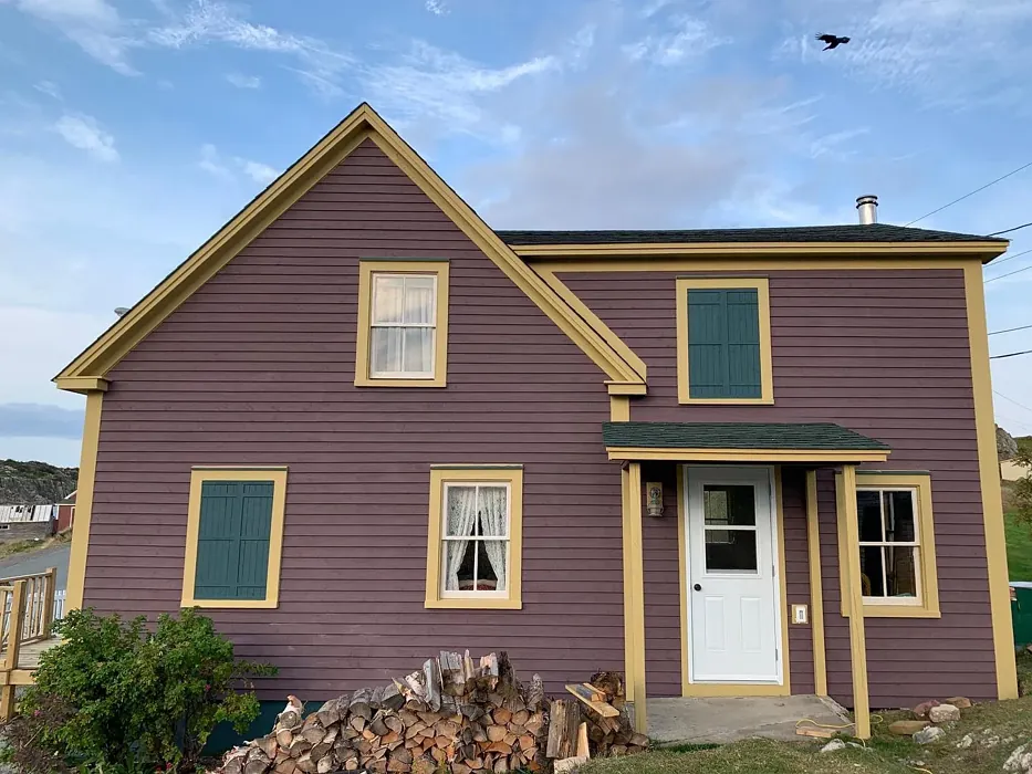 Benjamin Moore Amazon Soil house exterior 