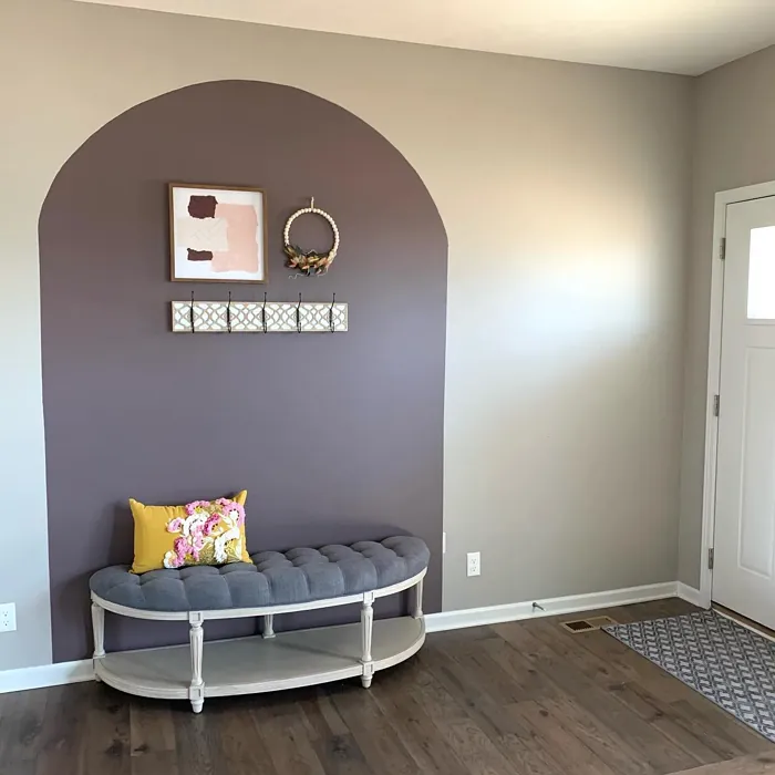 Benjamin Moore Amazon Soil hallway color-block
