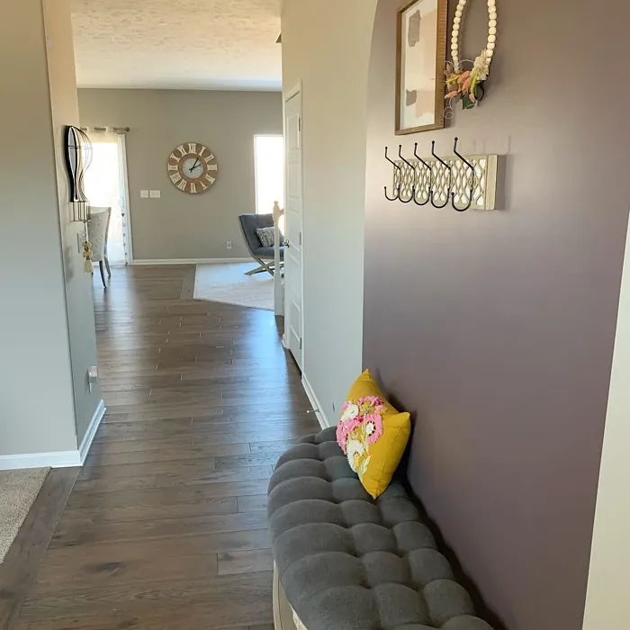 Amazon Soil hallway color-block