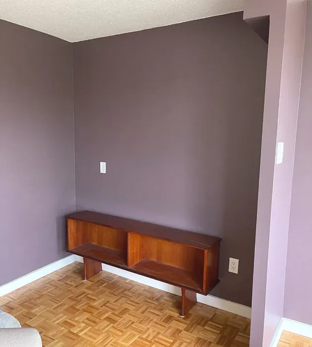 Amazon Soil wall paint 