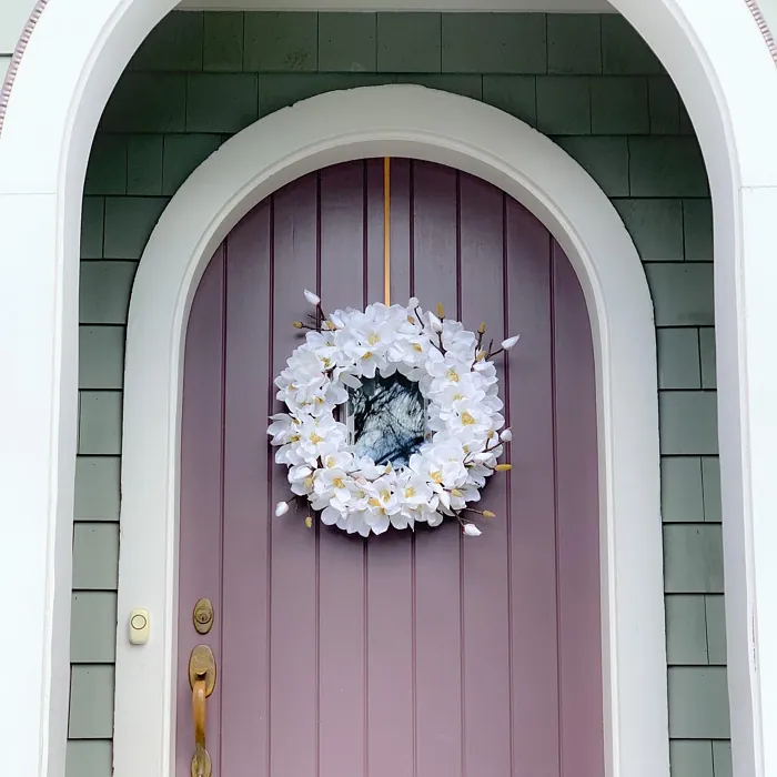 Amazon Soil front door paint