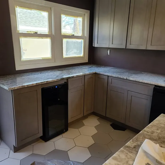 Amazon Soil kitchen interior