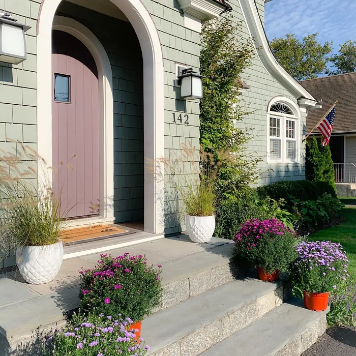 Amazon Soil front door color review