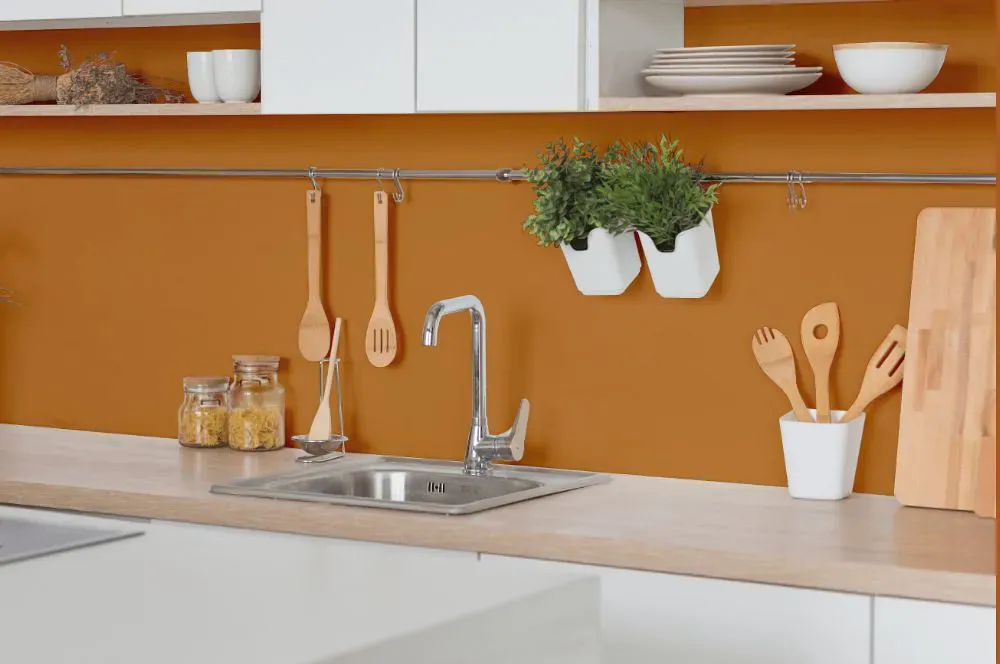 Benjamin Moore Amber kitchen backsplash