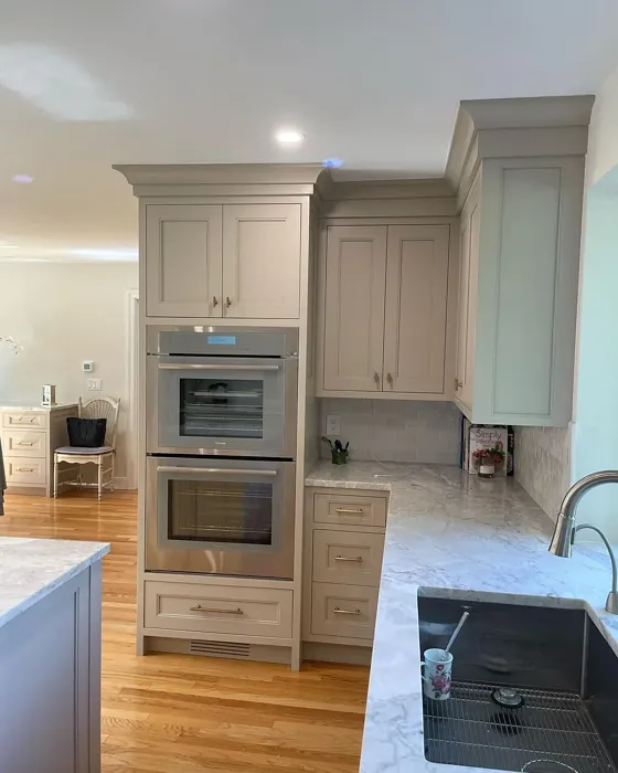 Annapolis Gray Kitchen Cabinets