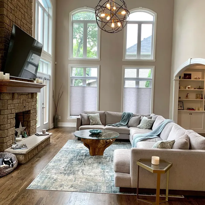 Benjamin Moore Annapolis Gray Living Room