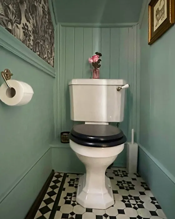 Annapolis Green bathroom paint review