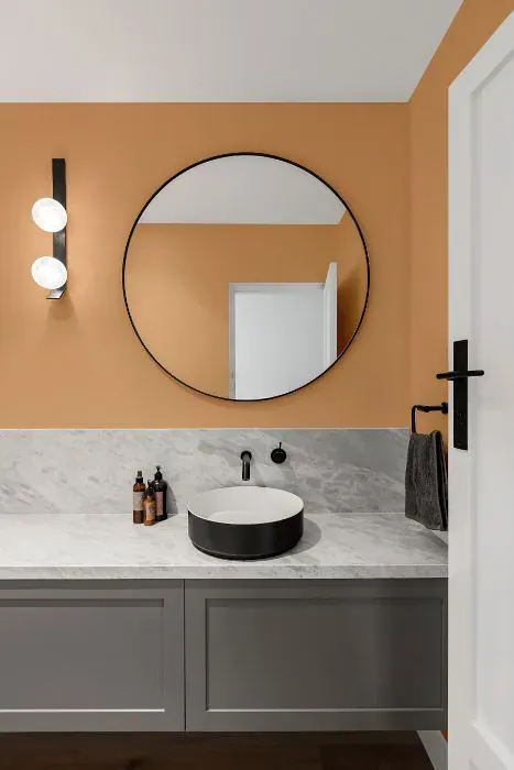 Benjamin Moore Ansonia Peach minimalist bathroom