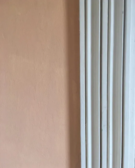 Benjamin Moore Ansonia Peach wall paint 