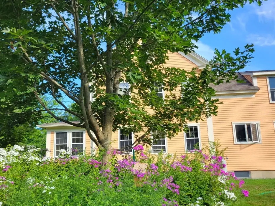 Benjamin Moore Ansonia Peach exterior color