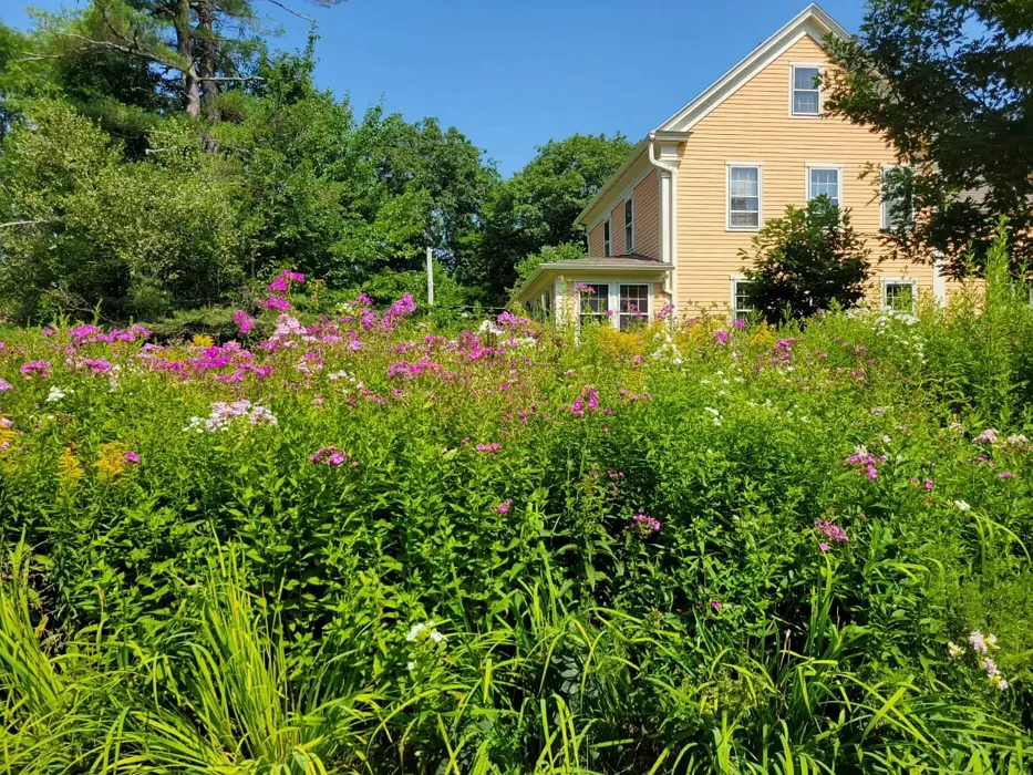 Benjamin Moore Ansonia Peach exterior paint