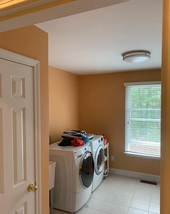 Benjamin Moore Ansonia Peach laundry room color