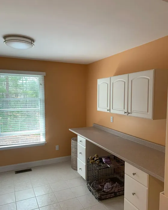 Benjamin Moore Ansonia Peach laundry room paint