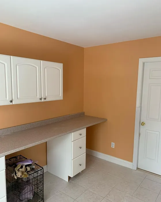 Ansonia Peach laundry room paint
