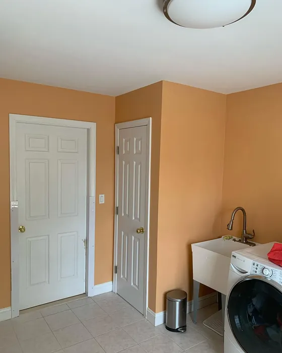 Ansonia Peach laundry room paint review