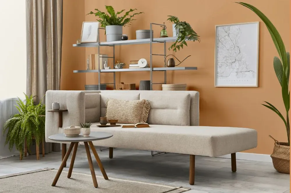 Benjamin Moore Ansonia Peach living room