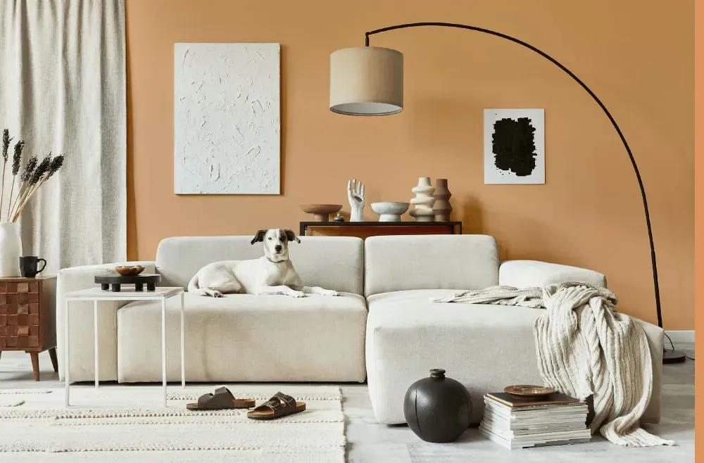 Benjamin Moore Ansonia Peach cozy living room