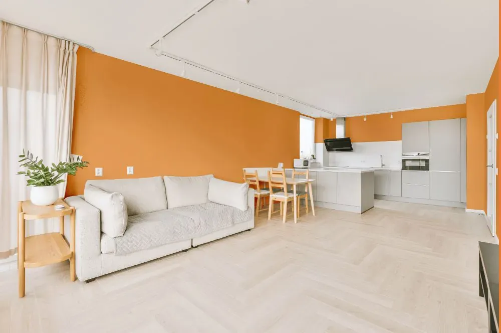 Benjamin Moore Antelope Canyon living room interior