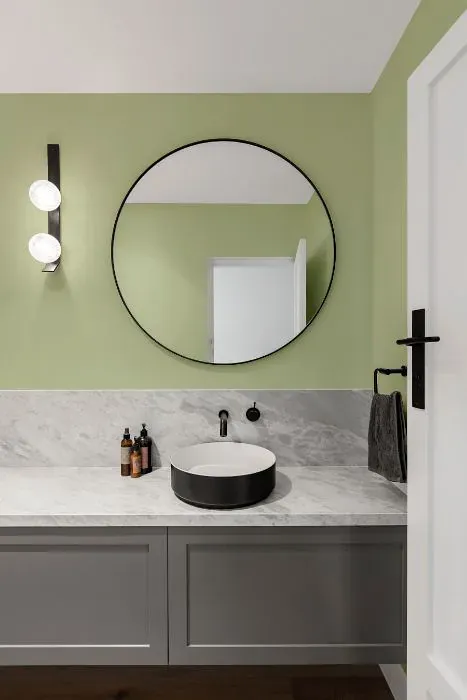 Benjamin Moore Apple Blossom minimalist bathroom