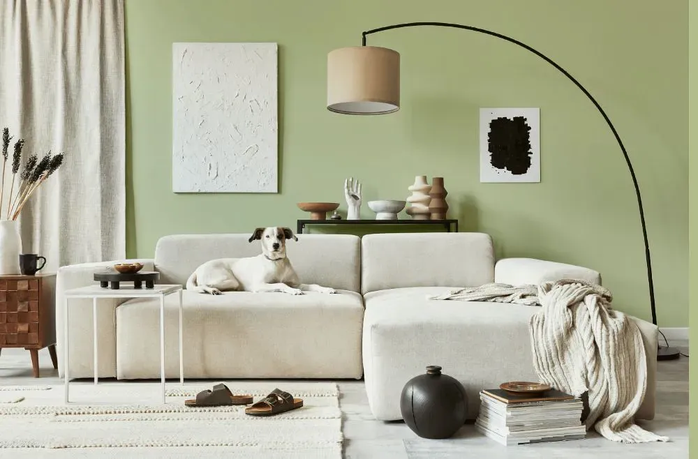 Benjamin Moore Apple Blossom cozy living room