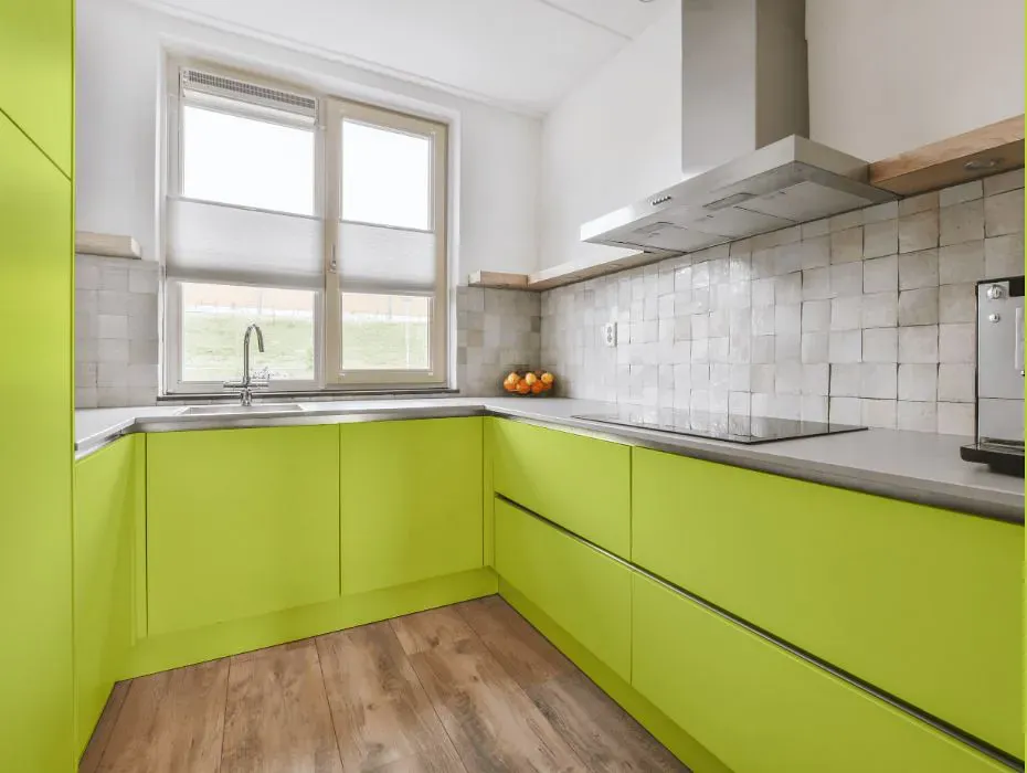 Benjamin Moore Apple Green small kitchen cabinets