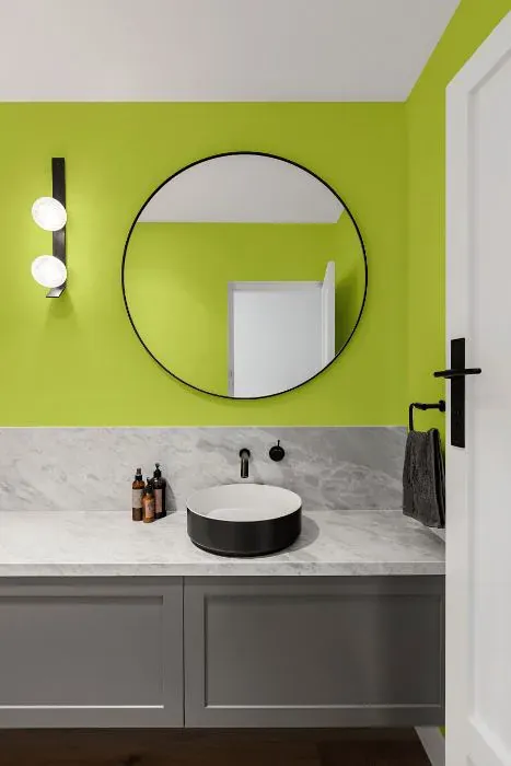 Benjamin Moore Apple Green minimalist bathroom