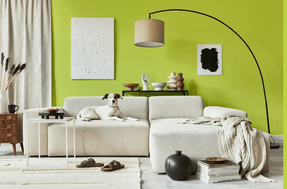Benjamin Moore Apple Green cozy living room
