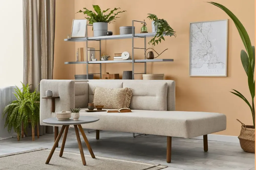 Benjamin Moore Apricot Chiffon living room