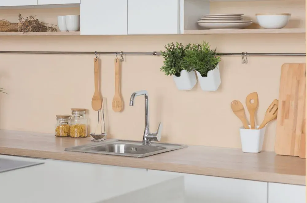 Benjamin Moore Apricot Tint kitchen backsplash