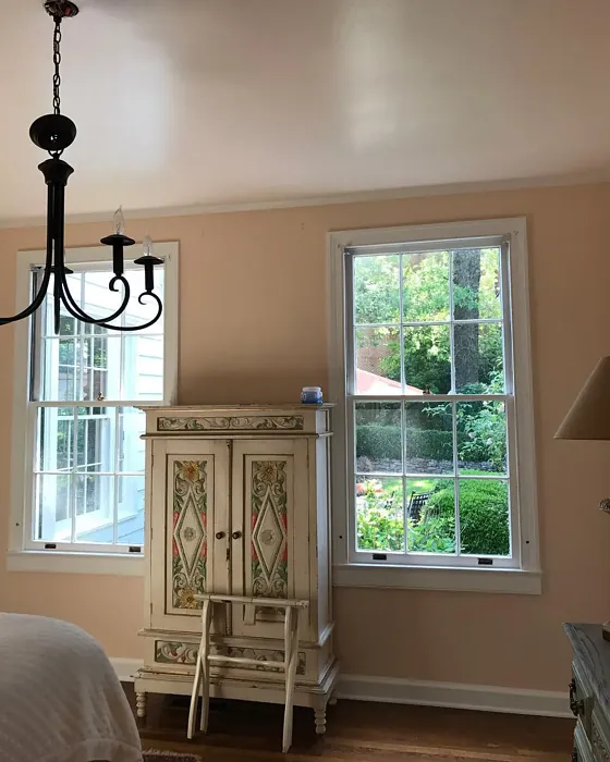 Benjamin Moore Apricot Tint nursery 