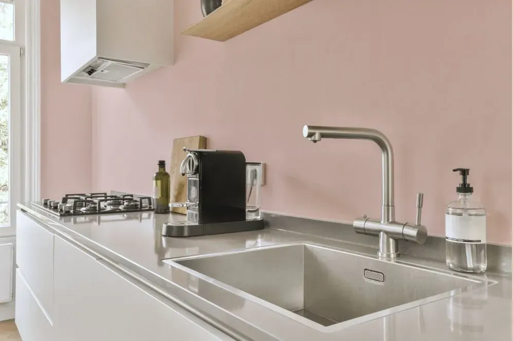 Benjamin Moore April Pink kitchen painted backsplash