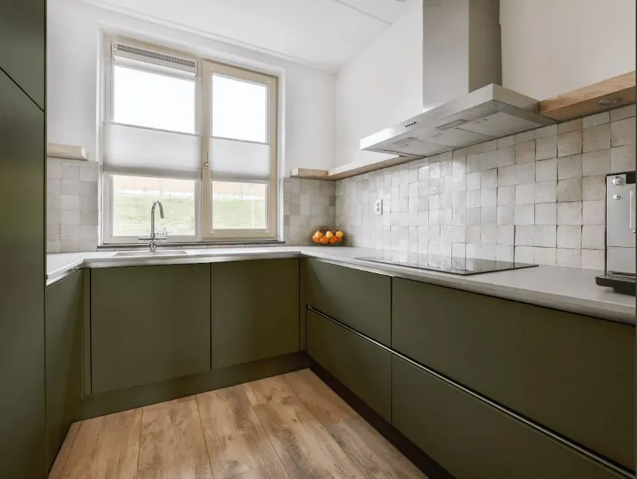 Benjamin Moore Army Green small kitchen cabinets