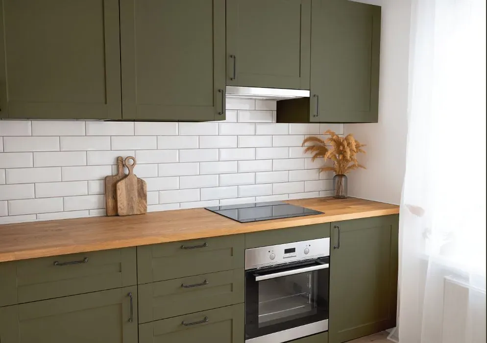 Benjamin Moore Army Green kitchen cabinets