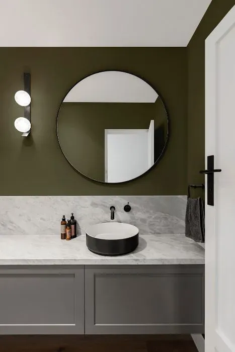 Benjamin Moore Army Green minimalist bathroom